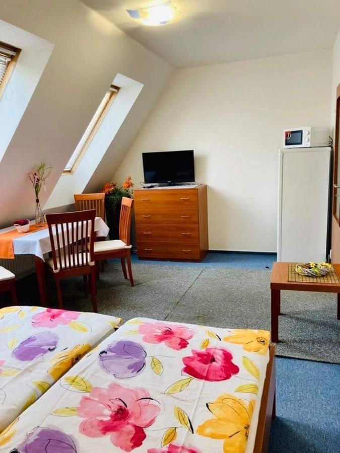 Apartmany, Penzion, Wellness U Zlate Rybky Vyškov エクステリア 写真