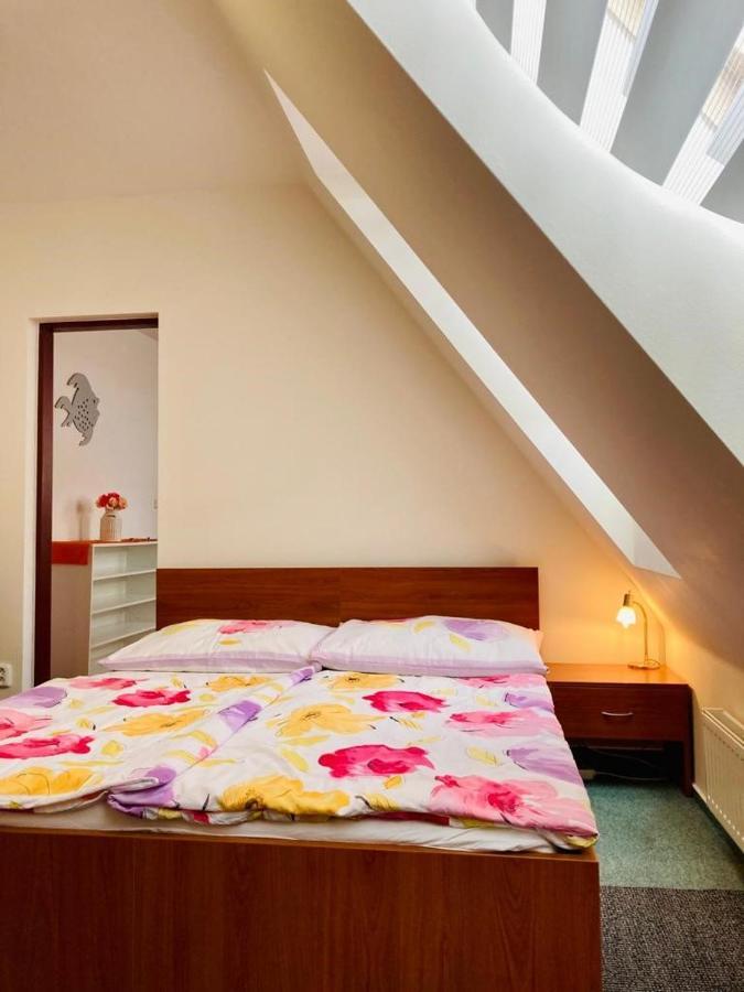 Apartmany, Penzion, Wellness U Zlate Rybky Vyškov エクステリア 写真