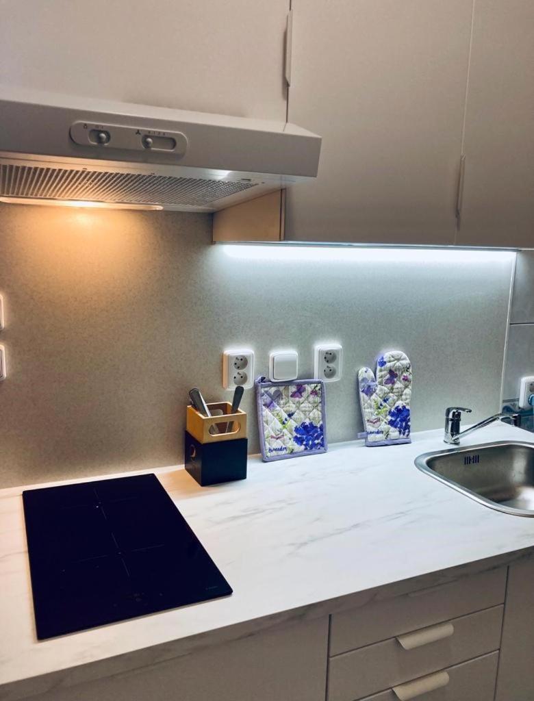 Apartmany, Penzion, Wellness U Zlate Rybky Vyškov エクステリア 写真