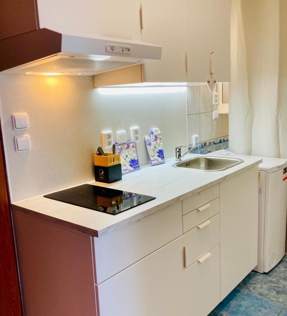 Apartmany, Penzion, Wellness U Zlate Rybky Vyškov エクステリア 写真