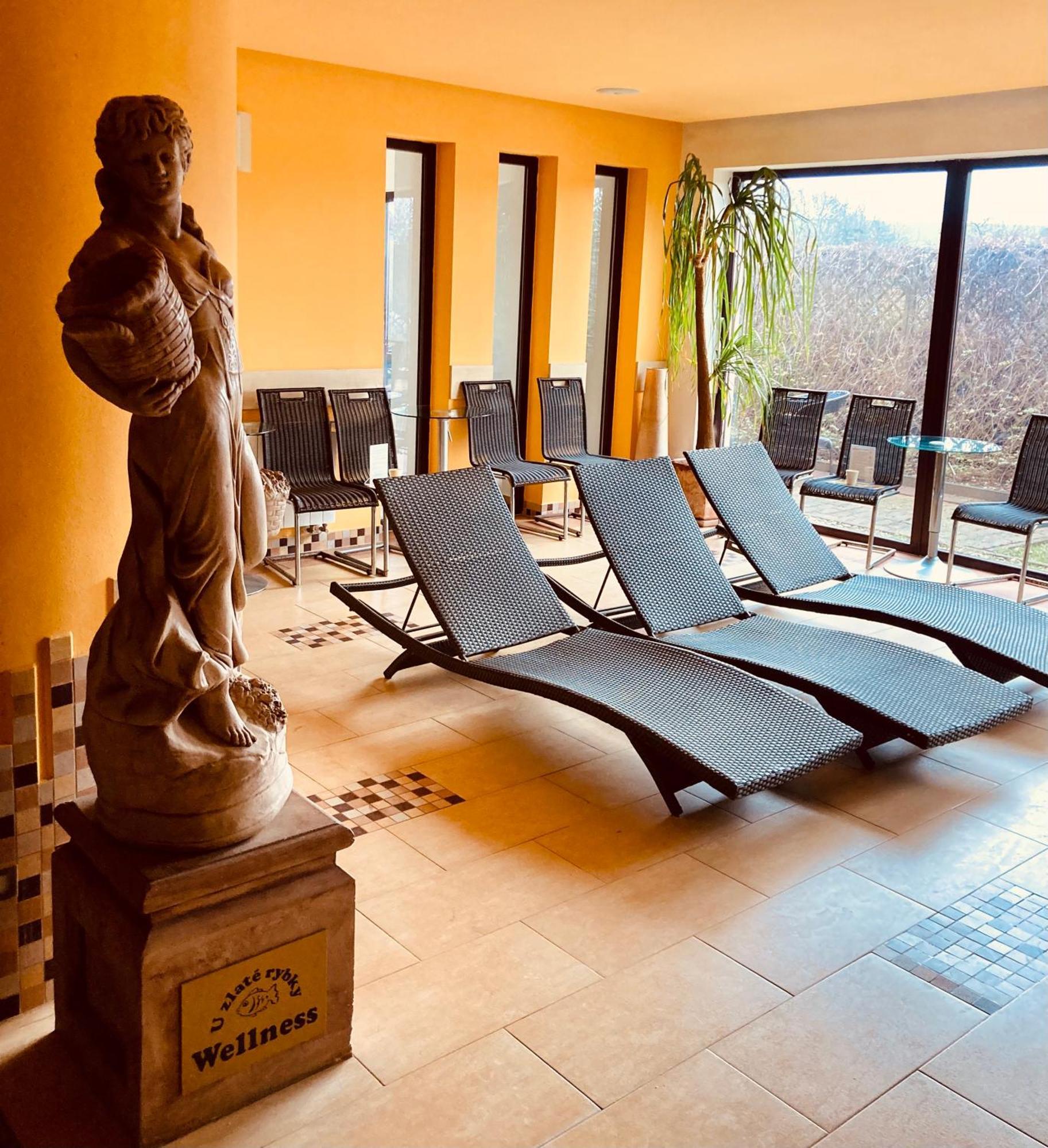 Apartmany, Penzion, Wellness U Zlate Rybky Vyškov エクステリア 写真