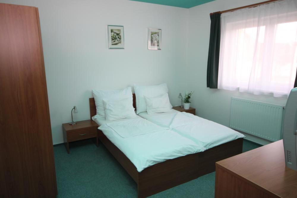 Apartmany, Penzion, Wellness U Zlate Rybky Vyškov エクステリア 写真