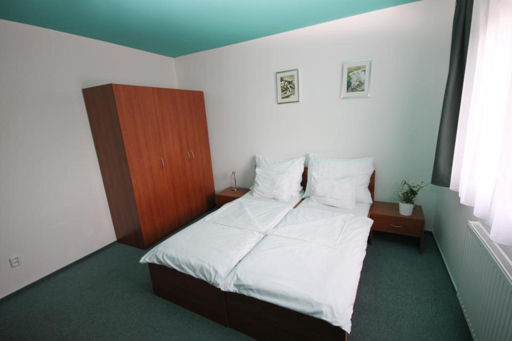 Apartmany, Penzion, Wellness U Zlate Rybky Vyškov エクステリア 写真