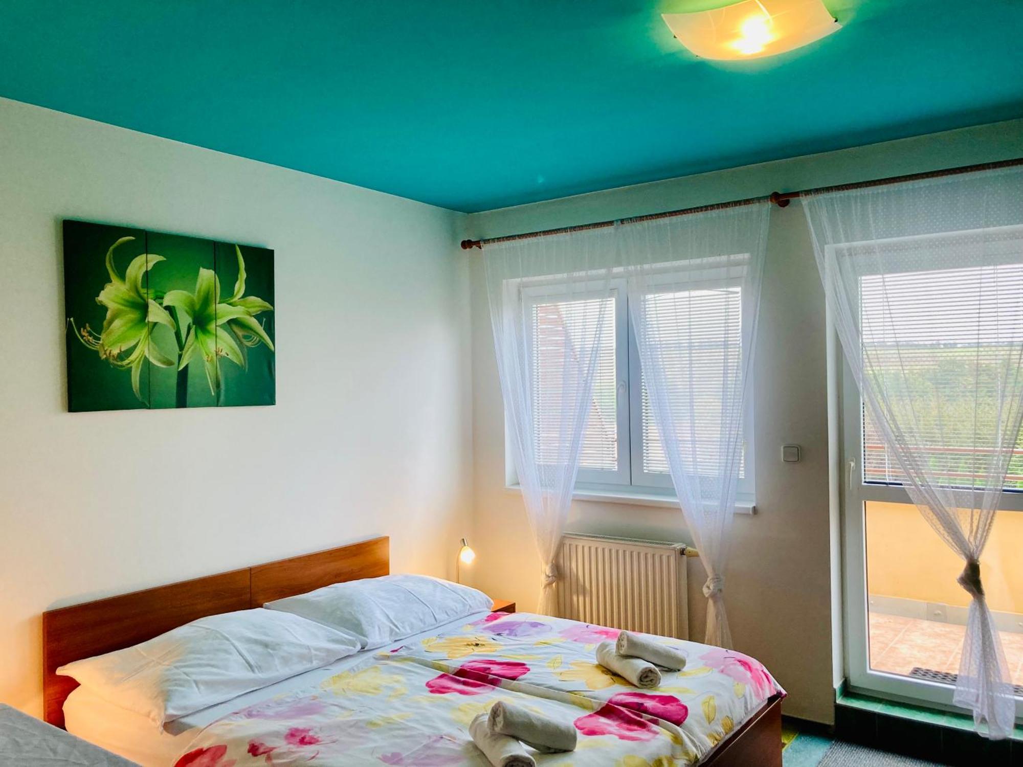Apartmany, Penzion, Wellness U Zlate Rybky Vyškov エクステリア 写真