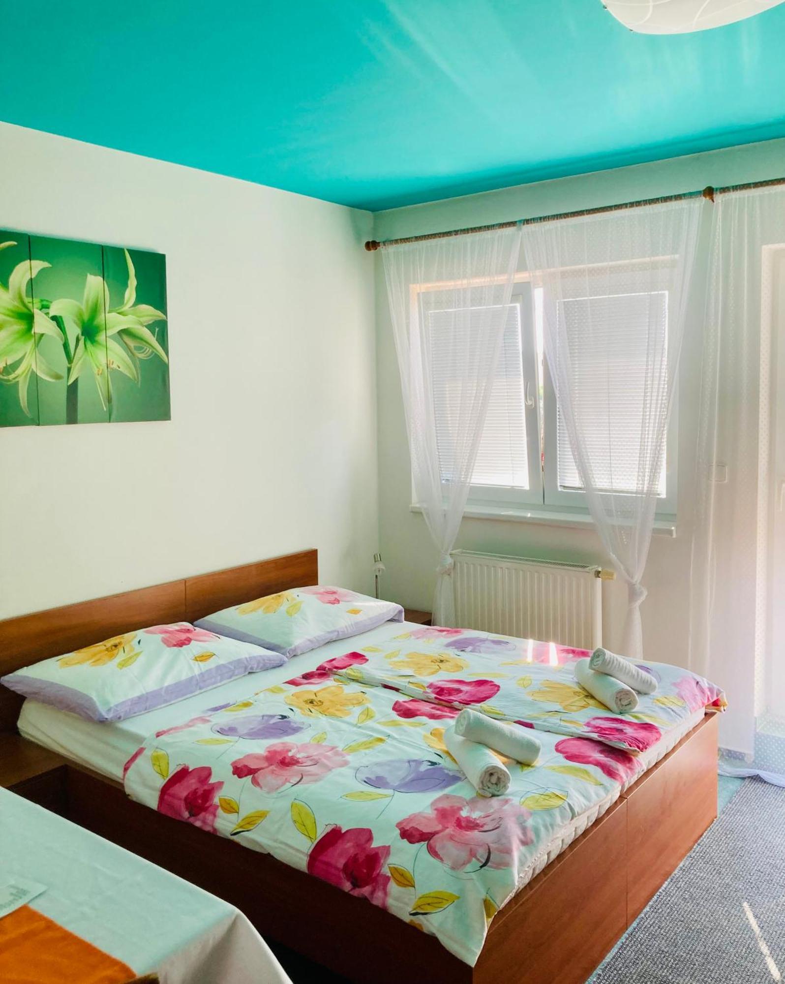 Apartmany, Penzion, Wellness U Zlate Rybky Vyškov エクステリア 写真