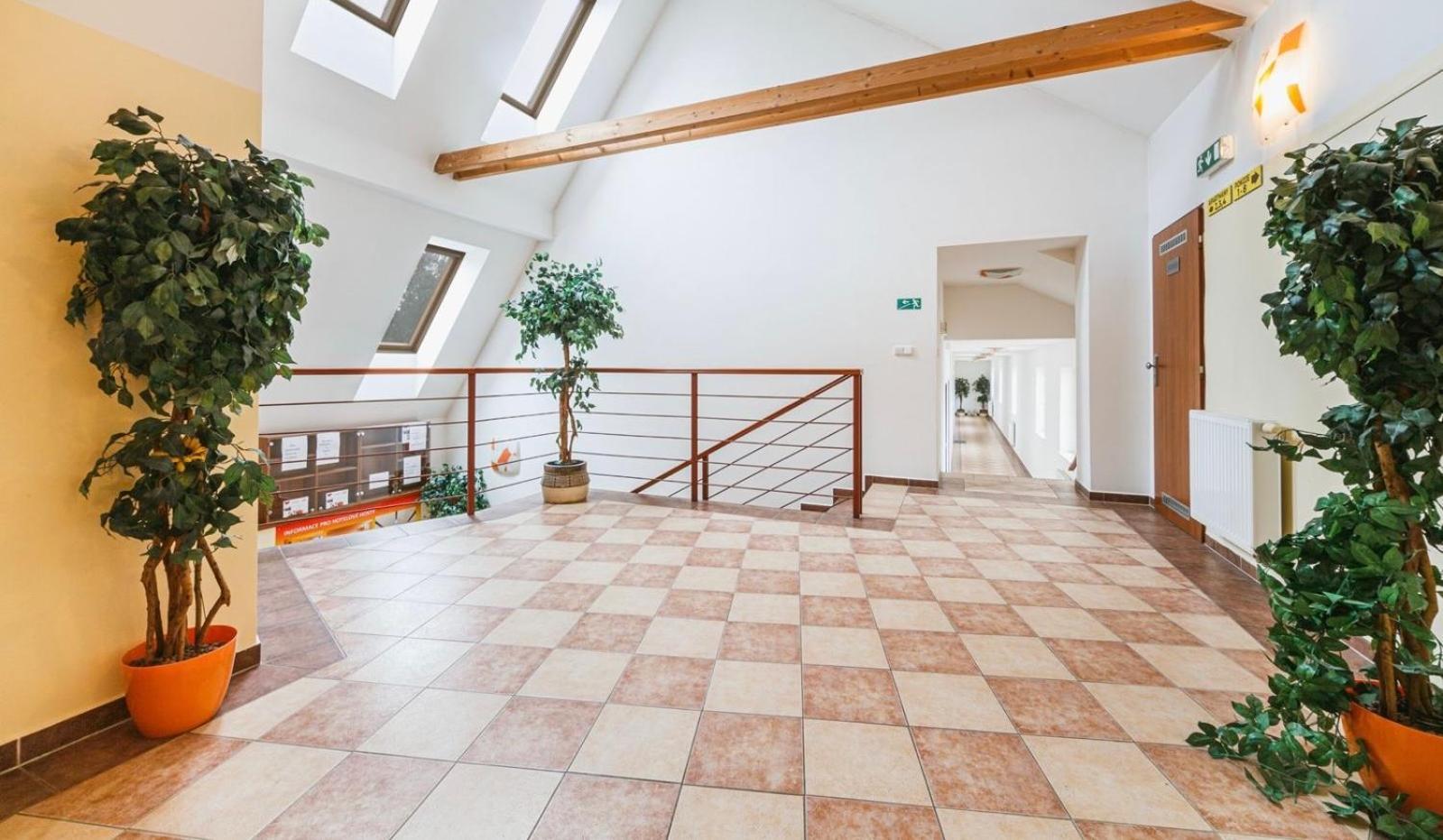 Apartmany, Penzion, Wellness U Zlate Rybky Vyškov エクステリア 写真